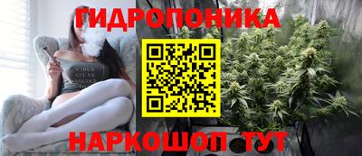 тгк Камышлов