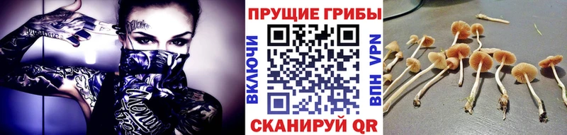 Галлюциногенные грибы мицелий  Топки 