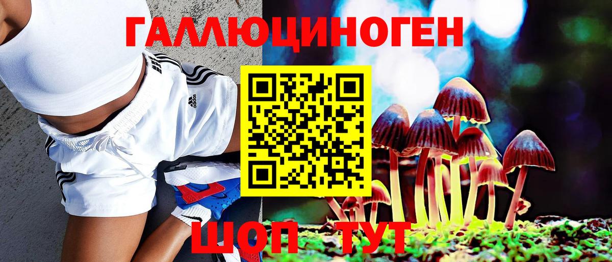 Галлюциногенные грибы Magic Shrooms Топки