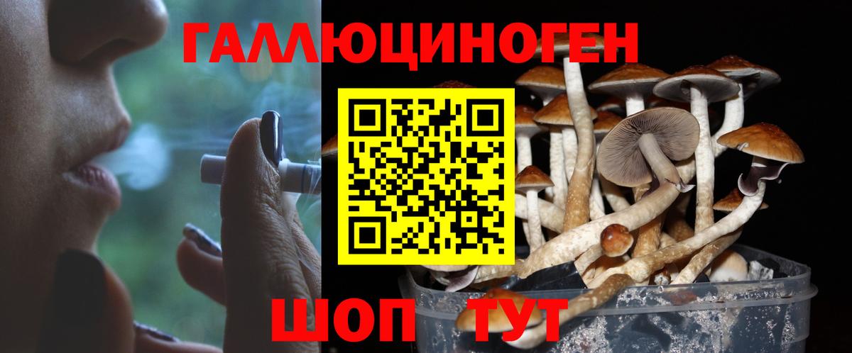 Галлюциногенные грибы мухоморы  Галлюциногенные грибы Psilocybe  Топки 